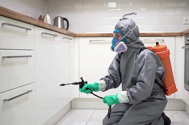 Noida Pest Control | +91 87004 07010