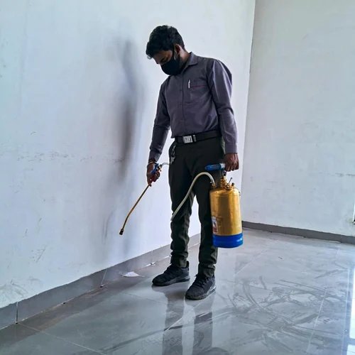 Noida Pest Control | +91 87004 07010
