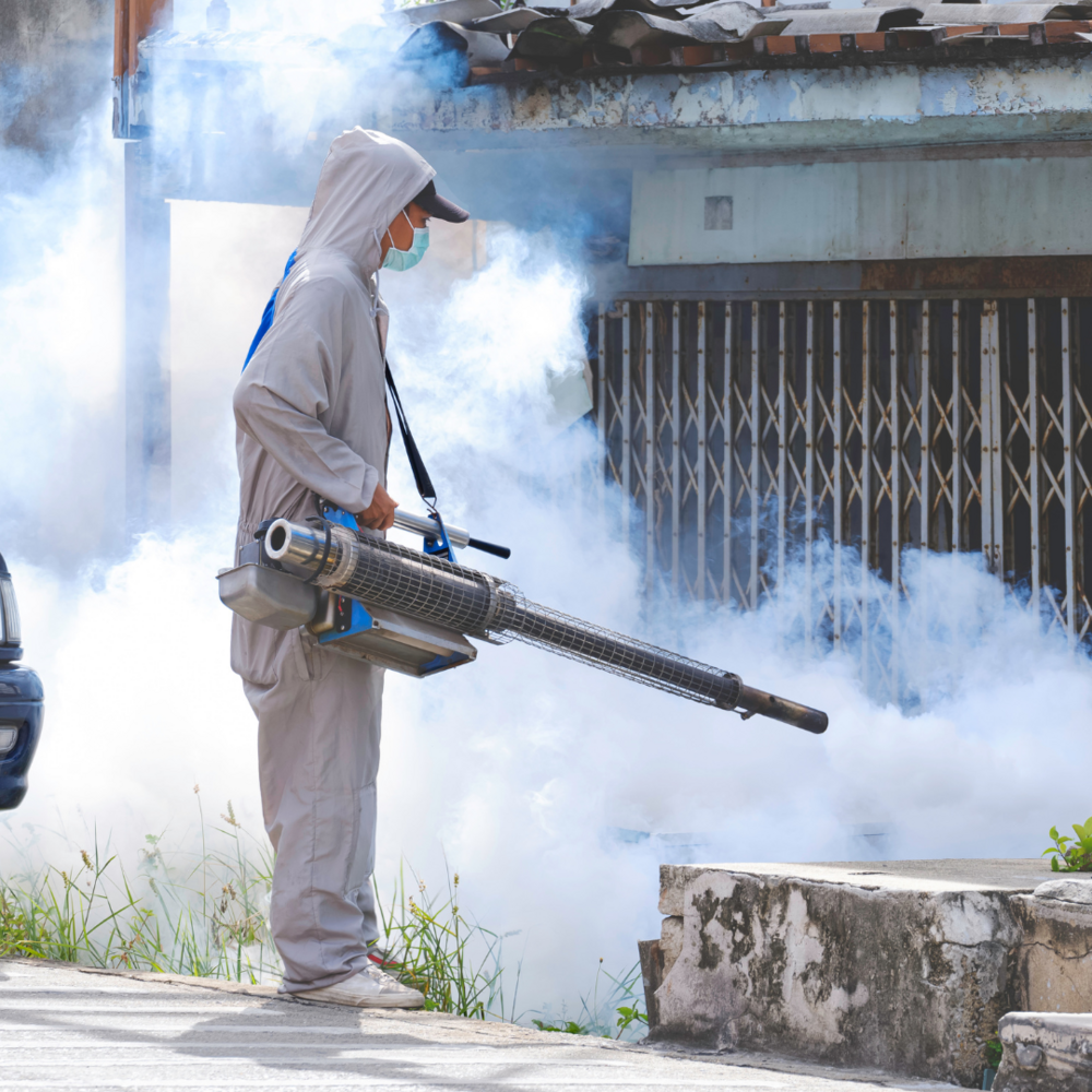 Noida Pest Control | +91 87004 07010